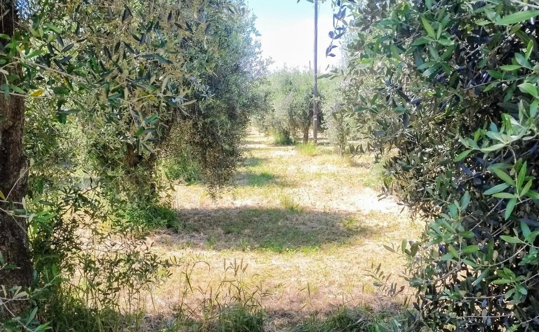 Ferienwohnung Casa Nildo Pietrasanta 0*,  Italien